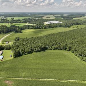 Photo #5 of 04 Albritton Road, Snow Hill, NC 10.9 acres