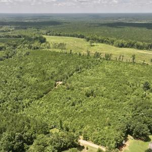 Photo #15 of Off Dancing Horse Drive, Warrenton, NC 3.4 acres