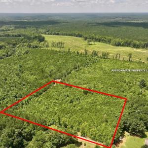 Photo #16 of Off Dancing Horse Drive, Warrenton, NC 3.4 acres