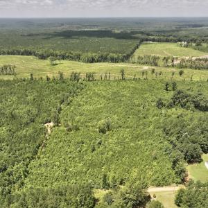 Photo #17 of Off Dancing Horse Drive, Warrenton, NC 3.4 acres