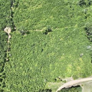 Photo #19 of Off Dancing Horse Drive, Warrenton, NC 3.4 acres