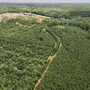 Photo #21 of Off Dancing Horse Drive, Warrenton, NC 3.4 acres