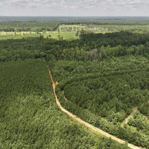 Photo #22 of Off Dancing Horse Drive, Warrenton, NC 3.4 acres