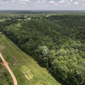 Photo #23 of Off Dancing Horse Drive, Warrenton, NC 3.4 acres