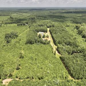Photo #5 of Off Dancing Horse Drive, Warrenton, NC 3.4 acres