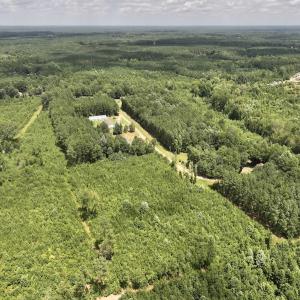 Photo #7 of Off Dancing Horse Drive, Warrenton, NC 3.4 acres
