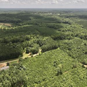 Photo #11 of Off Dancing Horse Drive, Warrenton, NC 3.4 acres