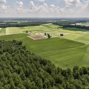 Photo #15 of 05 Albritton Road, Snow Hill, NC 16.6 acres