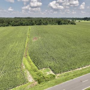 Photo #19 of 05 Albritton Road, Snow Hill, NC 16.6 acres