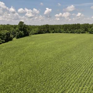 Photo #20 of 05 Albritton Road, Snow Hill, NC 16.6 acres
