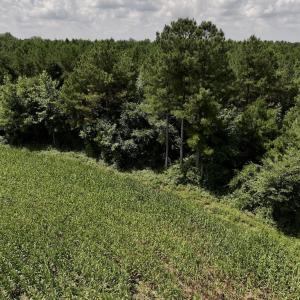 Photo #23 of 05 Albritton Road, Snow Hill, NC 16.6 acres