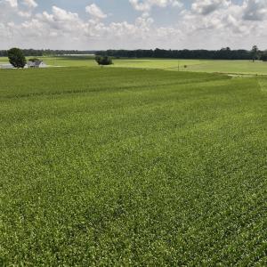 Photo #26 of 05 Albritton Road, Snow Hill, NC 16.6 acres