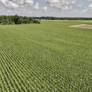 Photo #28 of 05 Albritton Road, Snow Hill, NC 16.6 acres