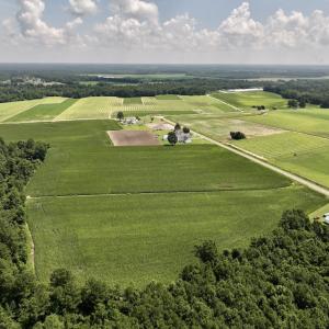 Photo #9 of 05 Albritton Road, Snow Hill, NC 16.6 acres
