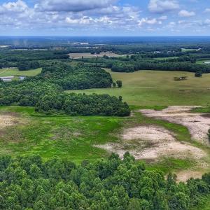 Photo #13 of Off Selah Church Rd, Goldsboro, NC 81.3 acres