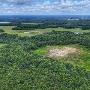 Photo #14 of Off Selah Church Rd, Goldsboro, NC 81.3 acres