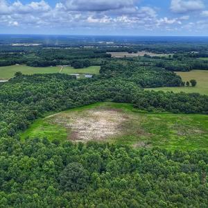 Photo #15 of Off Selah Church Rd, Goldsboro, NC 81.3 acres