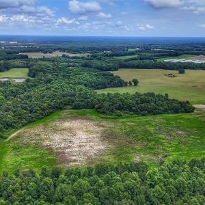 Photo #16 of Off Selah Church Rd, Goldsboro, NC 81.3 acres