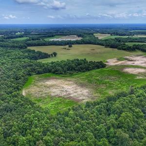 Photo #17 of Off Selah Church Rd, Goldsboro, NC 81.3 acres
