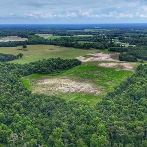 Photo #19 of Off Selah Church Rd, Goldsboro, NC 81.3 acres