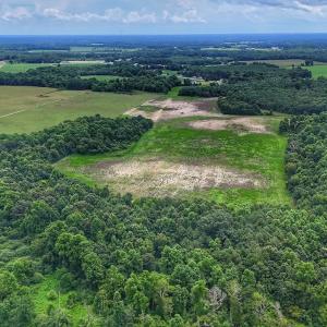 Photo #20 of Off Selah Church Rd, Goldsboro, NC 81.3 acres