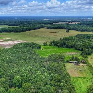 Photo #5 of Off Selah Church Rd, Goldsboro, NC 81.3 acres