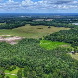 Photo #6 of Off Selah Church Rd, Goldsboro, NC 81.3 acres