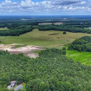 Photo #7 of Off Selah Church Rd, Goldsboro, NC 81.3 acres