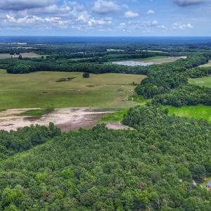 Photo #9 of Off Selah Church Rd, Goldsboro, NC 81.3 acres