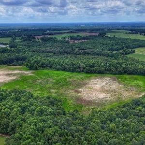 Photo #24 of Off Selah Church Rd, Goldsboro, NC 81.3 acres