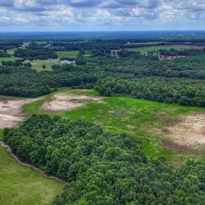 Photo #25 of Off Selah Church Rd, Goldsboro, NC 81.3 acres