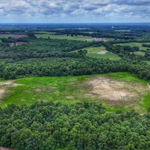 Photo #26 of Off Selah Church Rd, Goldsboro, NC 81.3 acres