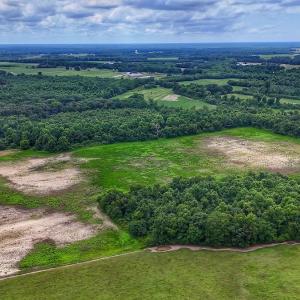 Photo #29 of Off Selah Church Rd, Goldsboro, NC 81.3 acres