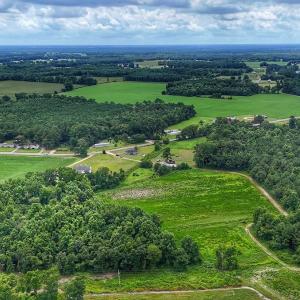 Photo #31 of Off Selah Church Rd, Goldsboro, NC 81.3 acres