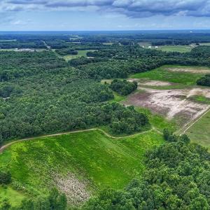 Photo #34 of Off Selah Church Rd, Goldsboro, NC 81.3 acres