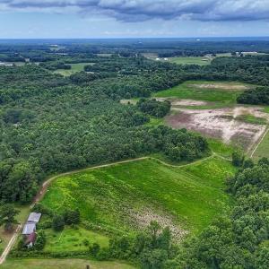 Photo #35 of Off Selah Church Rd, Goldsboro, NC 81.3 acres