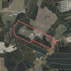 Photo #40 of Off Selah Church Rd, Goldsboro, NC 81.3 acres
