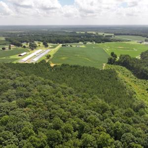 Photo #10 of Off Old Mill Road, stantonsburg, NC 51.5 acres
