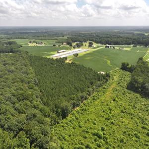 Photo #11 of Off Old Mill Road, stantonsburg, NC 51.5 acres