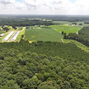 Photo #12 of Off Old Mill Road, stantonsburg, NC 51.5 acres