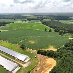 Photo #15 of Off Old Mill Road, stantonsburg, NC 51.5 acres