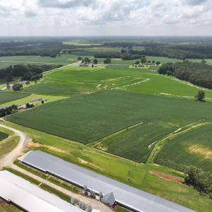 Photo #16 of Off Old Mill Road, stantonsburg, NC 51.5 acres