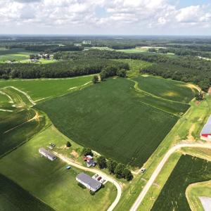 Photo #17 of Off Old Mill Road, stantonsburg, NC 51.5 acres