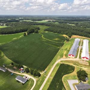 Photo #18 of Off Old Mill Road, stantonsburg, NC 51.5 acres