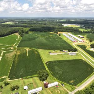Photo #19 of Off Old Mill Road, stantonsburg, NC 51.5 acres