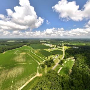 Photo #1 of Off Old Mill Road, stantonsburg, NC 51.5 acres