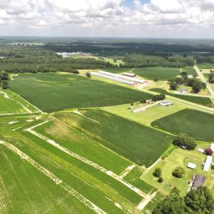 Photo #2 of Off Old Mill Road, stantonsburg, NC 51.5 acres