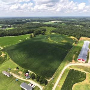 Photo #20 of Off Old Mill Road, stantonsburg, NC 51.5 acres