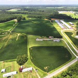 Photo #21 of Off Old Mill Road, stantonsburg, NC 51.5 acres