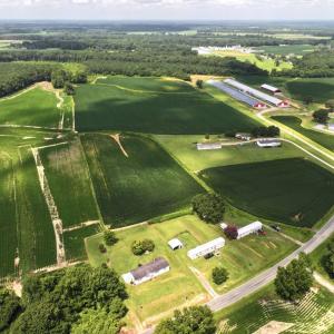 Photo #22 of Off Old Mill Road, stantonsburg, NC 51.5 acres